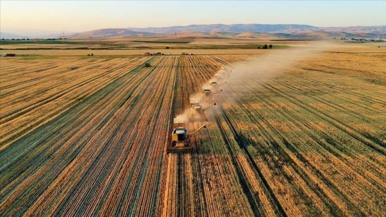 GAP Hassas Yazılımı ile gübreleme maliyetleri yüzde 30 düşürüldü